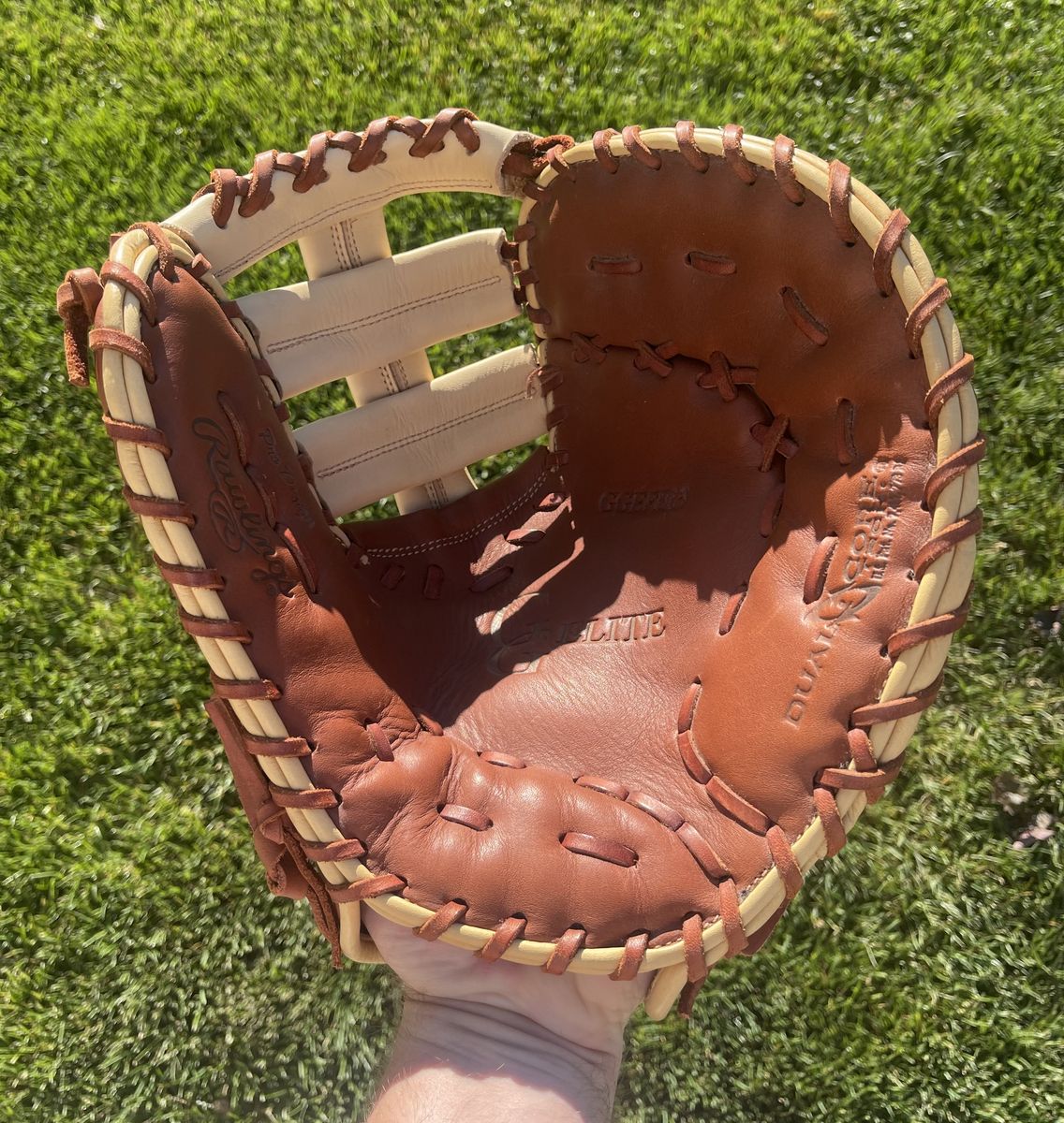 Rawlings Gold Glove Elite 13 in. Baseball/Softball Glove