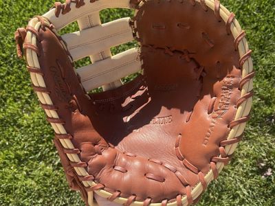 Rawlings Gold Glove Elite 13 in. Baseball/Softball Glove