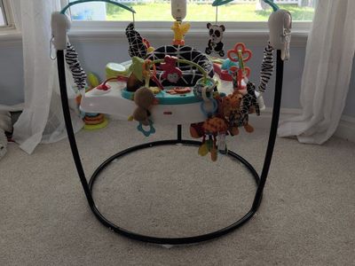 Fisher-Price Baby Activity Jumper and Bouncer with Toys