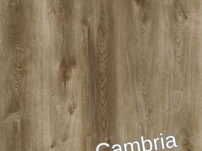 Awesome Glue Down LVP- $2.99/sq ft