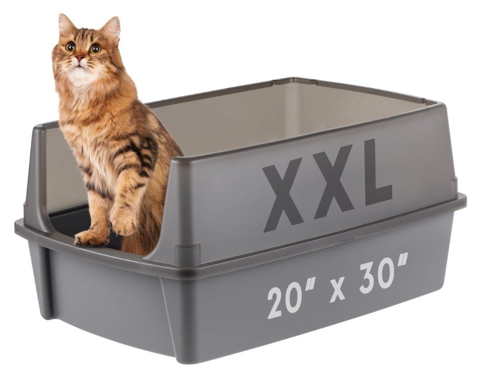 XX-Large Open Top Cat Litter Box, 30" L x 20" W x 14" H Gray