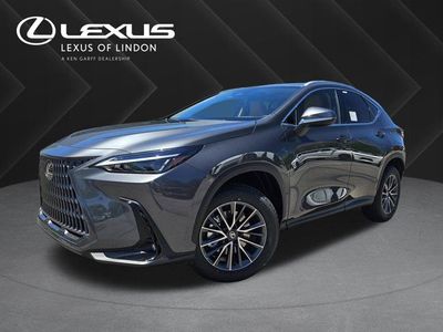 2026 Lexus NX 350 Base