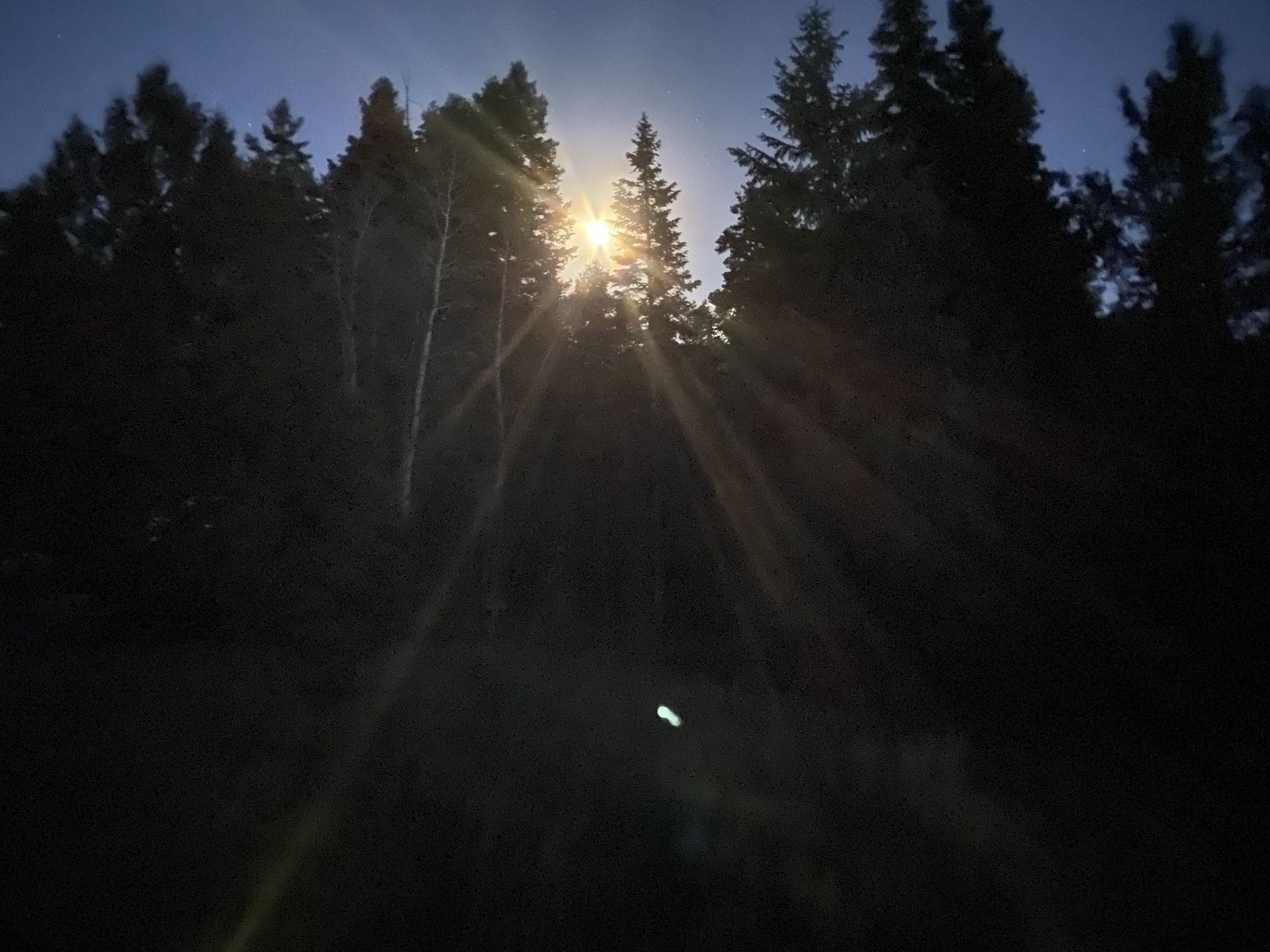 Main image 6