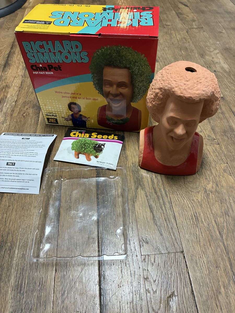 Vtg New Richard Simmons Chia Pet Clay Garden Plant