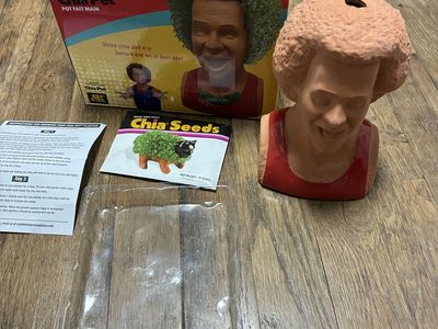 Vtg New Richard Simmons Chia Pet Clay Garden Plant