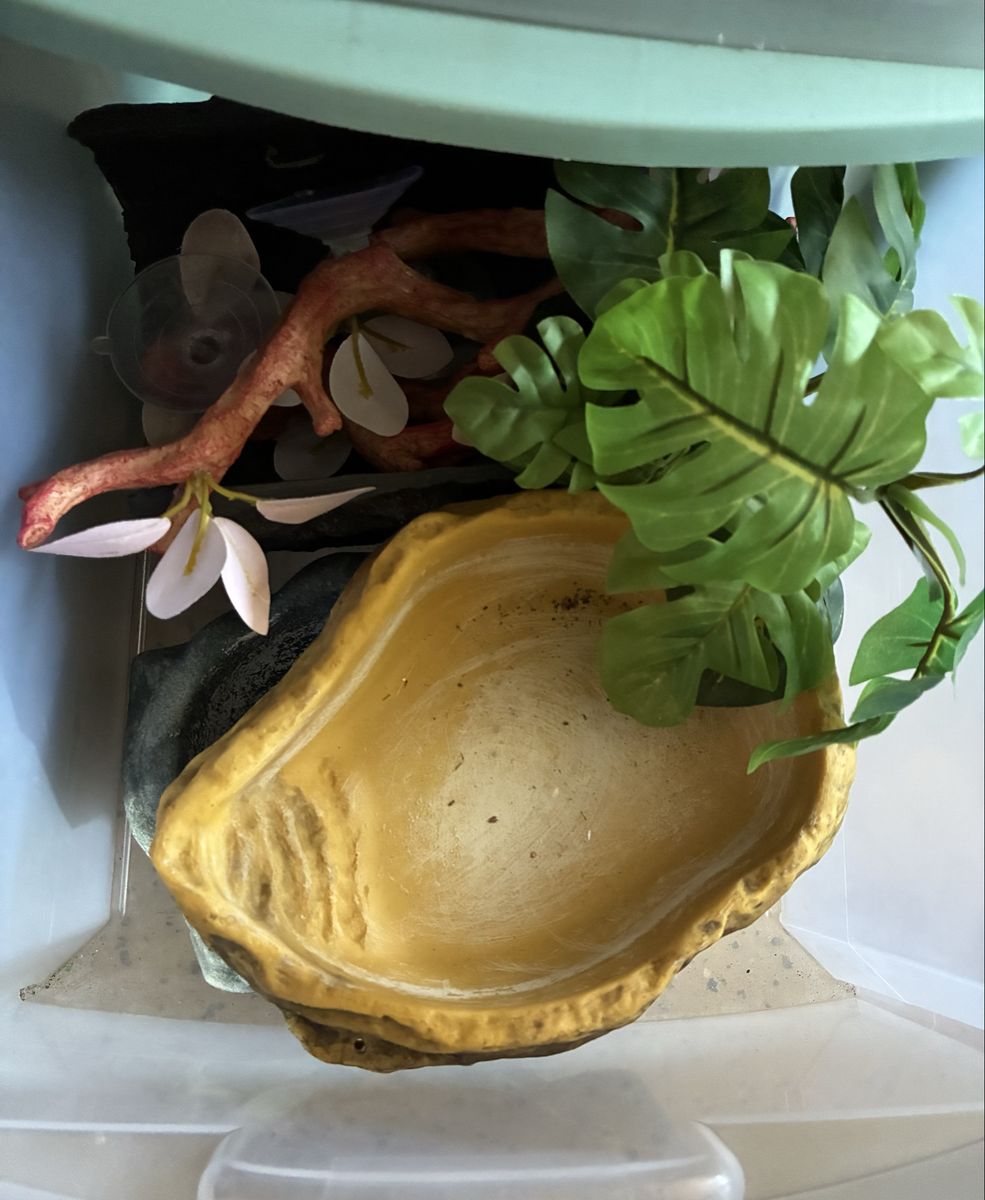 Main image 11