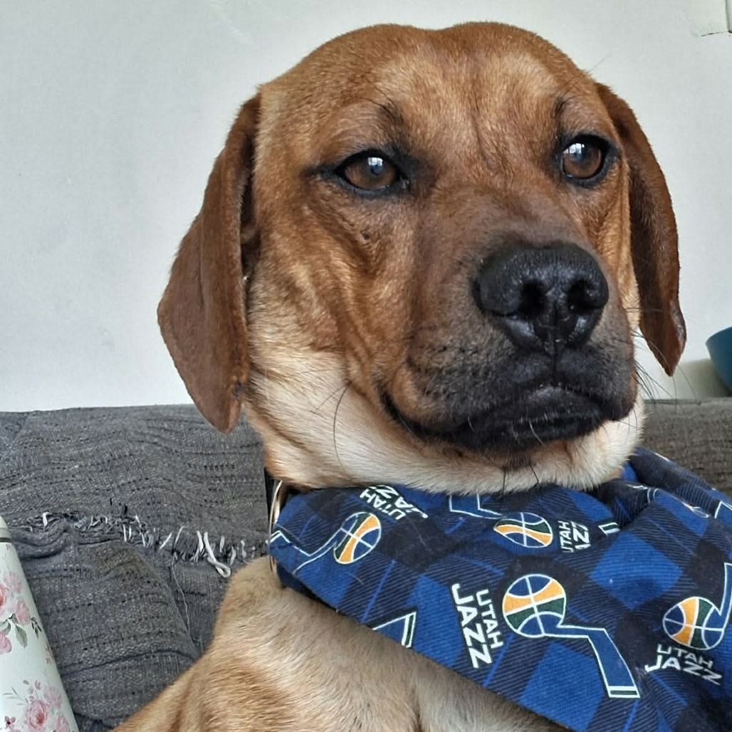 Hello my name is Rusty