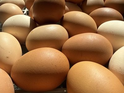 Fresh Chicken Eggs