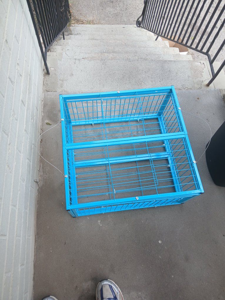 Pigeon trap thirty dollars
