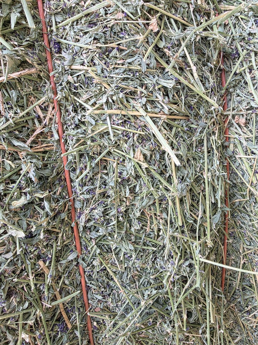 Alfalfa 3x3x8