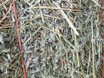 Alfalfa 3x3x8