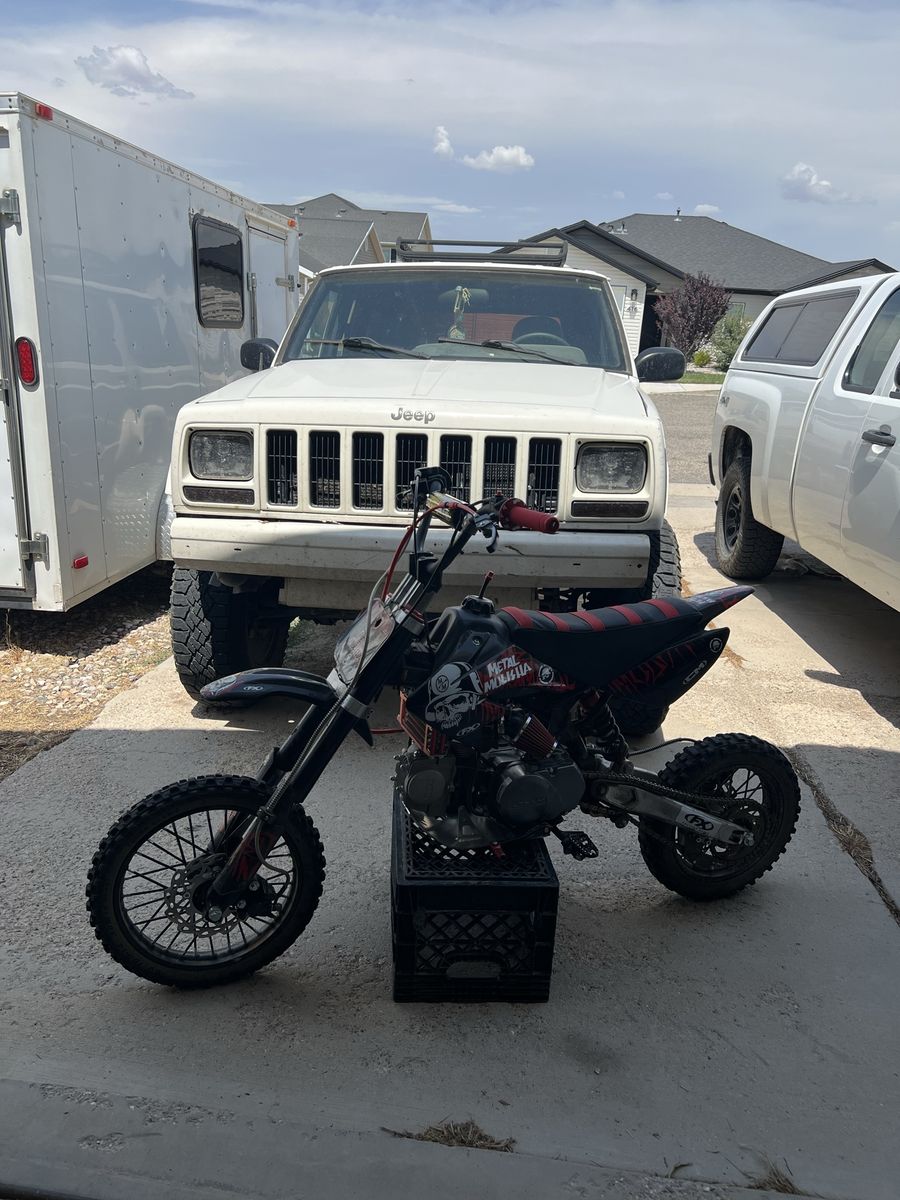 Adult pit bike 