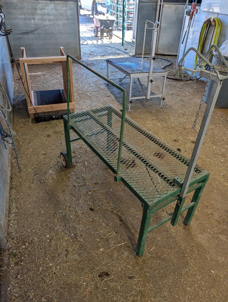 Goat and lamb stand