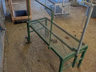 Goat and lamb stand