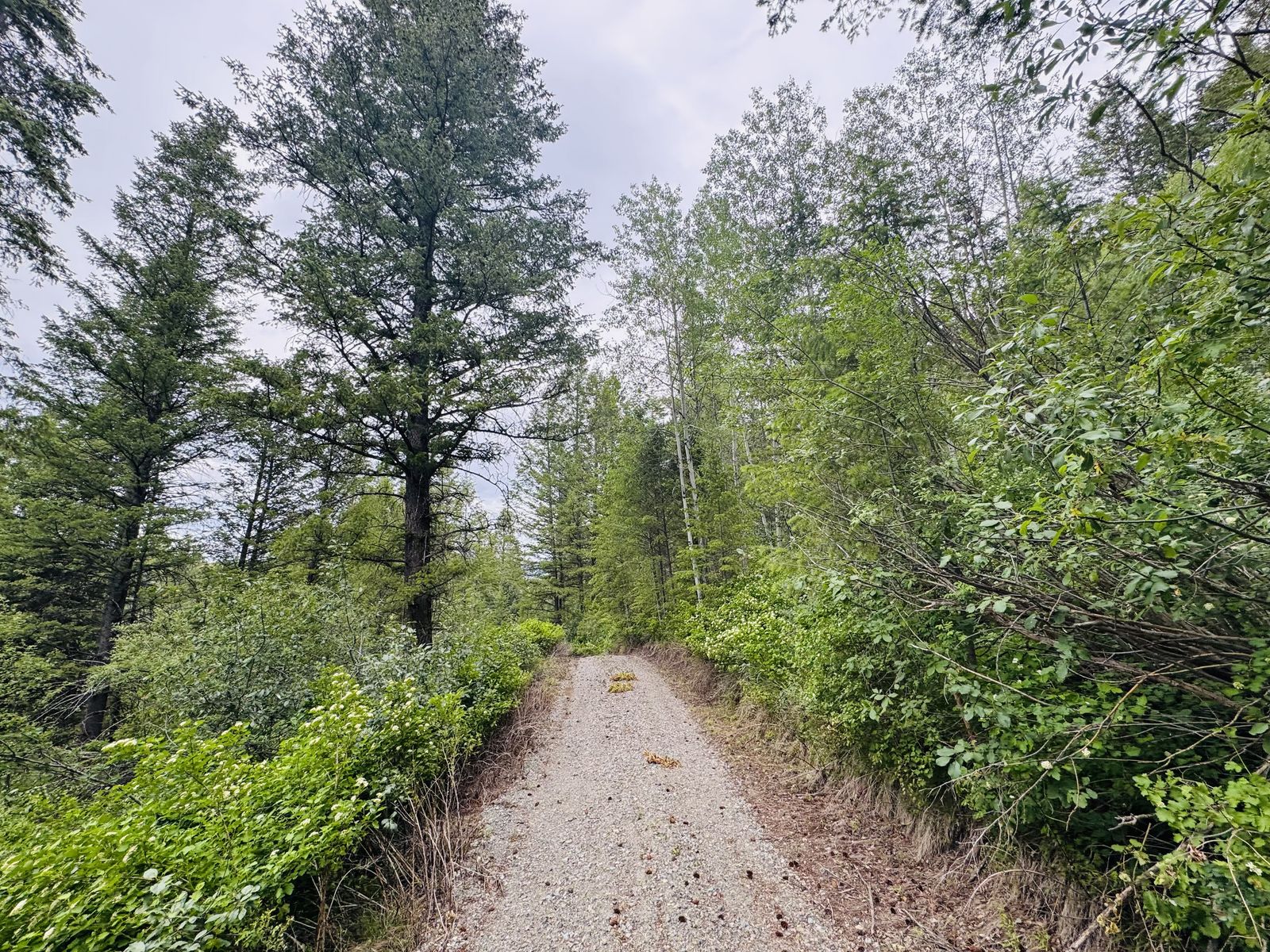Main image 13