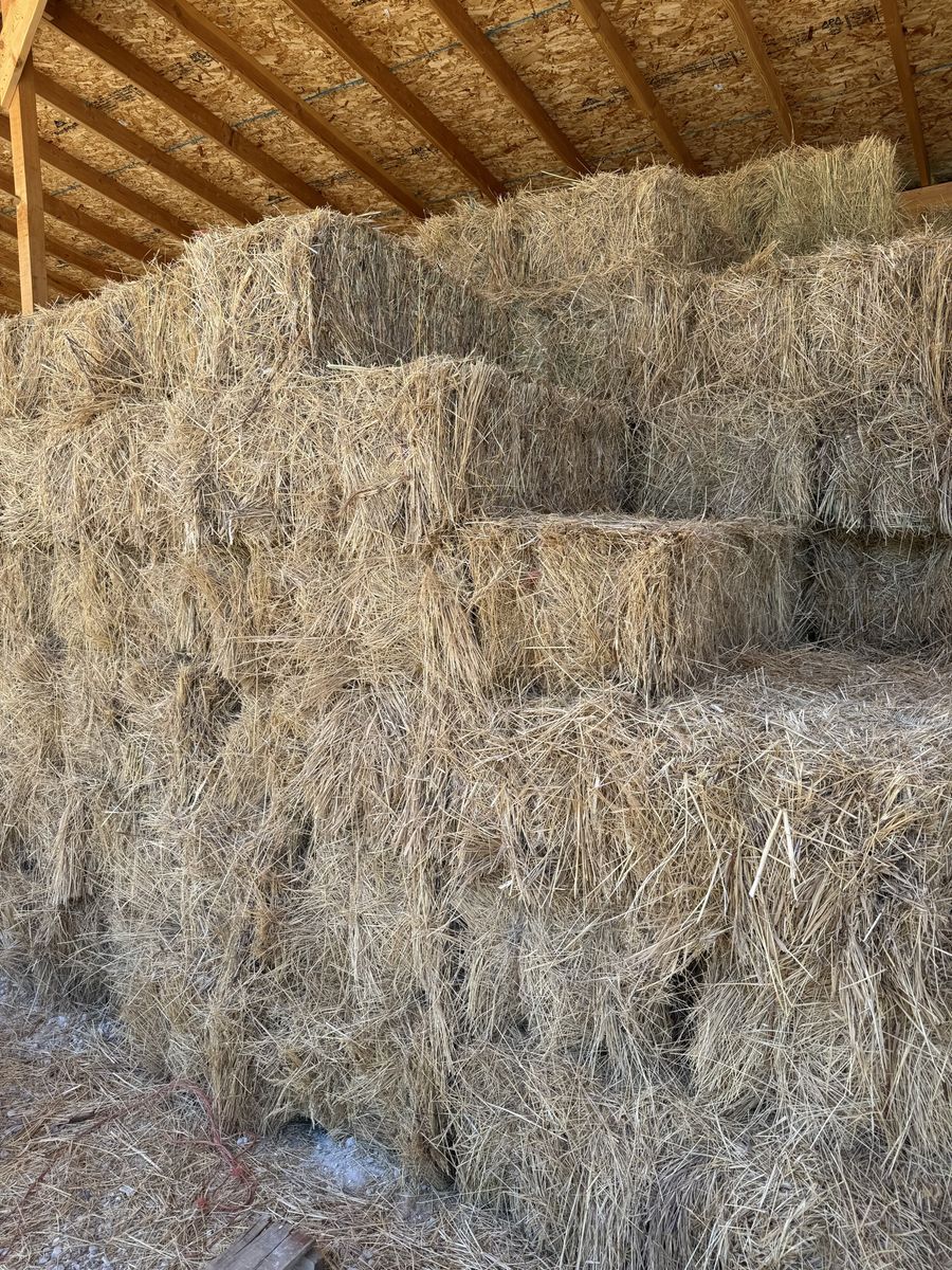 Feeder Hay