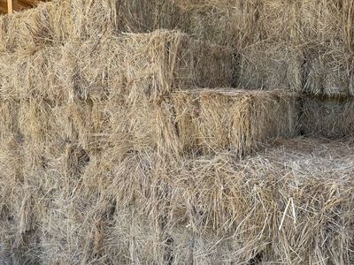 Feeder Hay