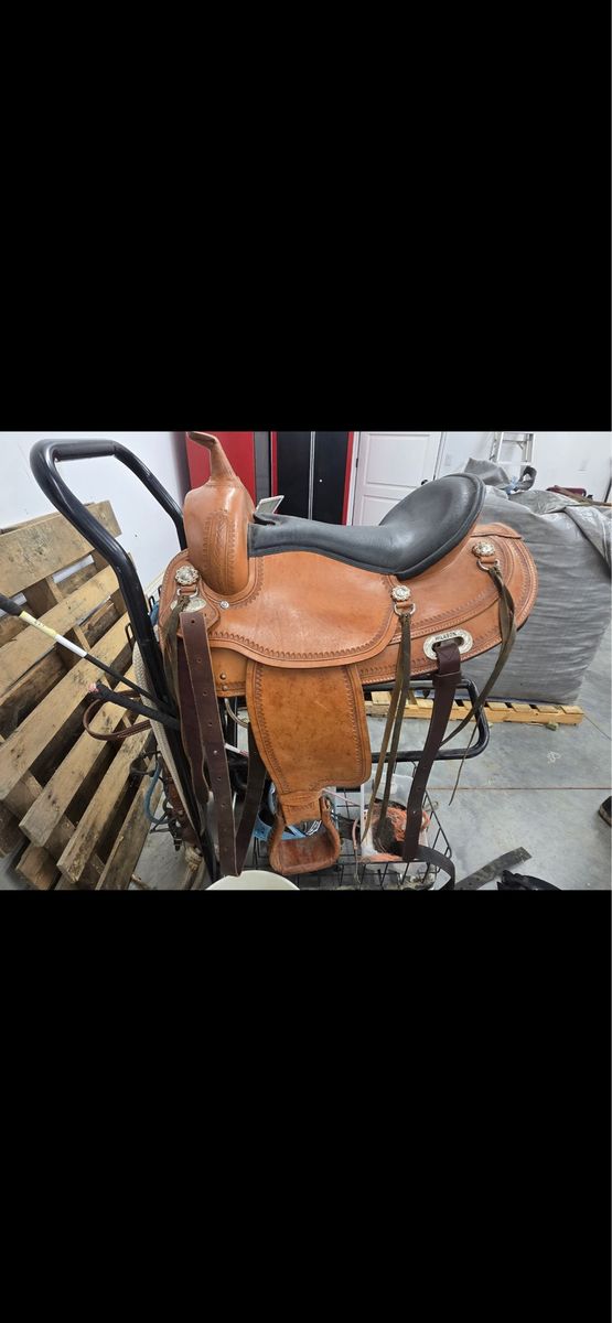 Hilason 16" Western Trail/Pleasure Saddle - Black Padded Seat, Border Tooling, Silver Conchos