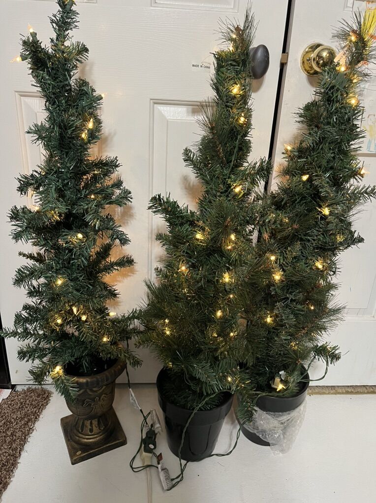 New Light Up Christmas Trees $35.00 Each