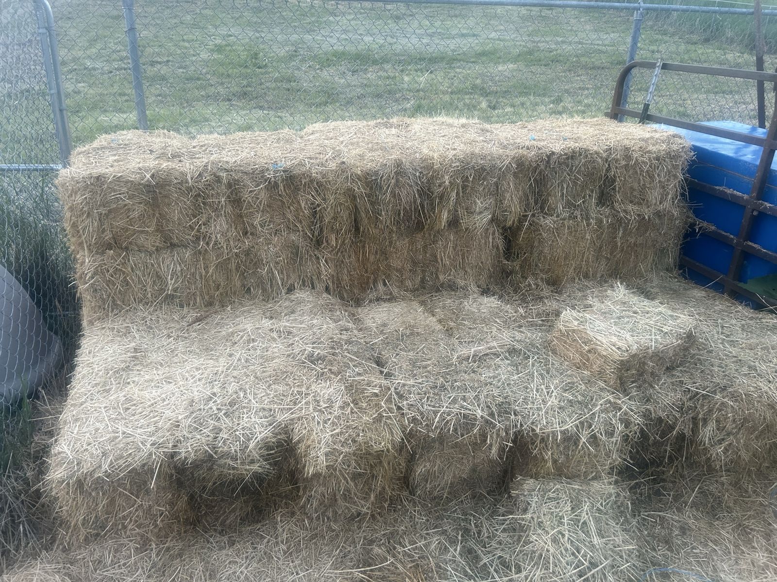 Feeder hay