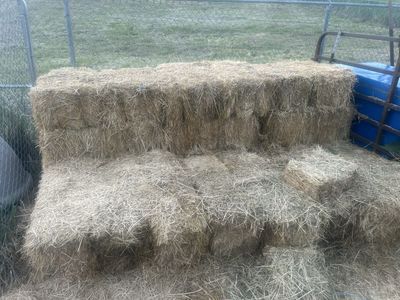 Feeder hay