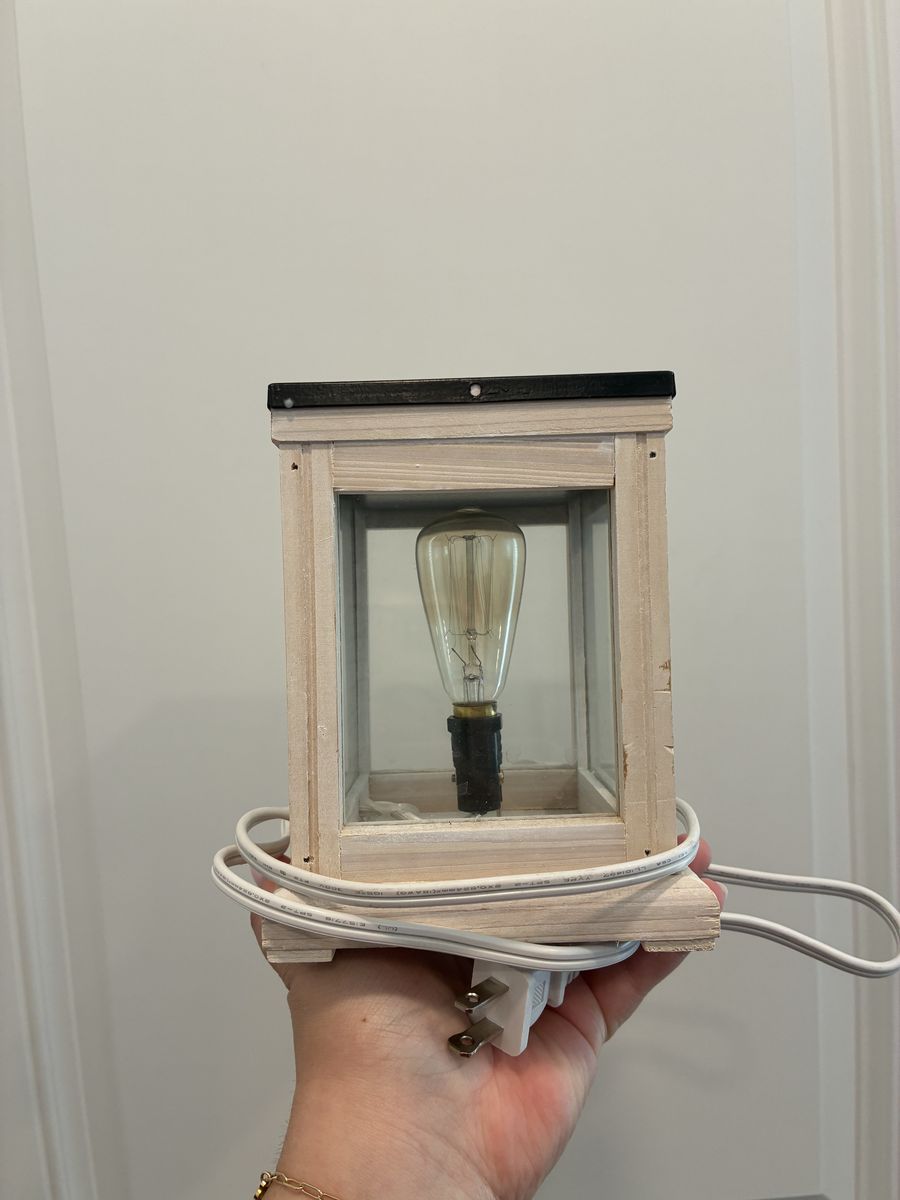 Wax melt warmer with Edison bulb
