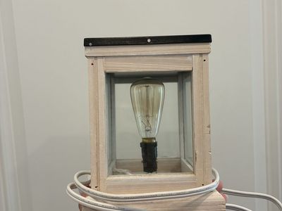 Wax melt warmer with Edison bulb