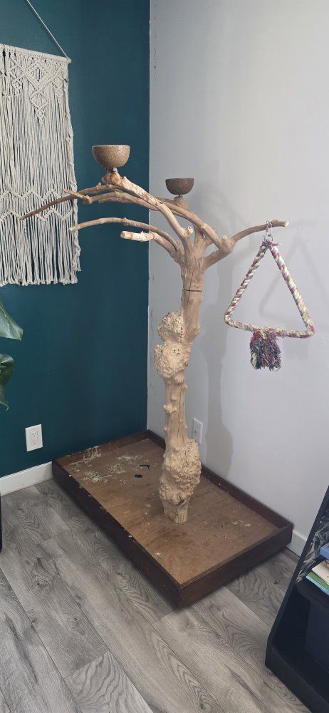 large Java tree