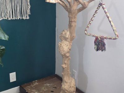large Java tree