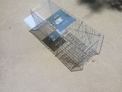 animal traps