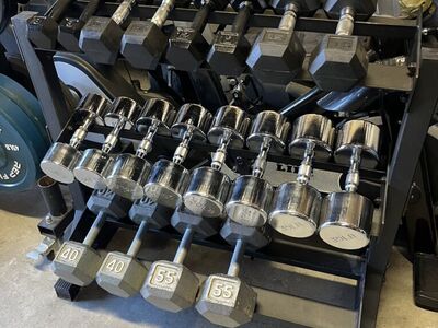 500LB Dumbbell Set & Rack