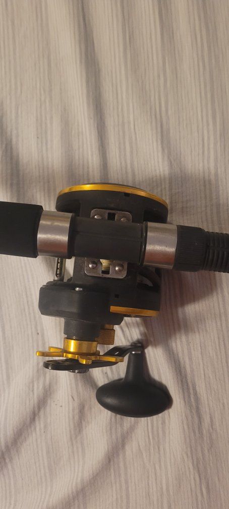 Penn Squall 30LD 2-Speed Lever Drag Fishing Reel on Shakespeare Tidewater Rod. it's a great real