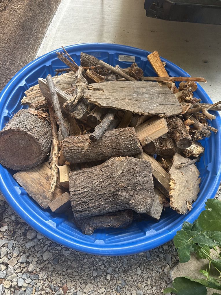 Kiddie Pool Full Of Wood