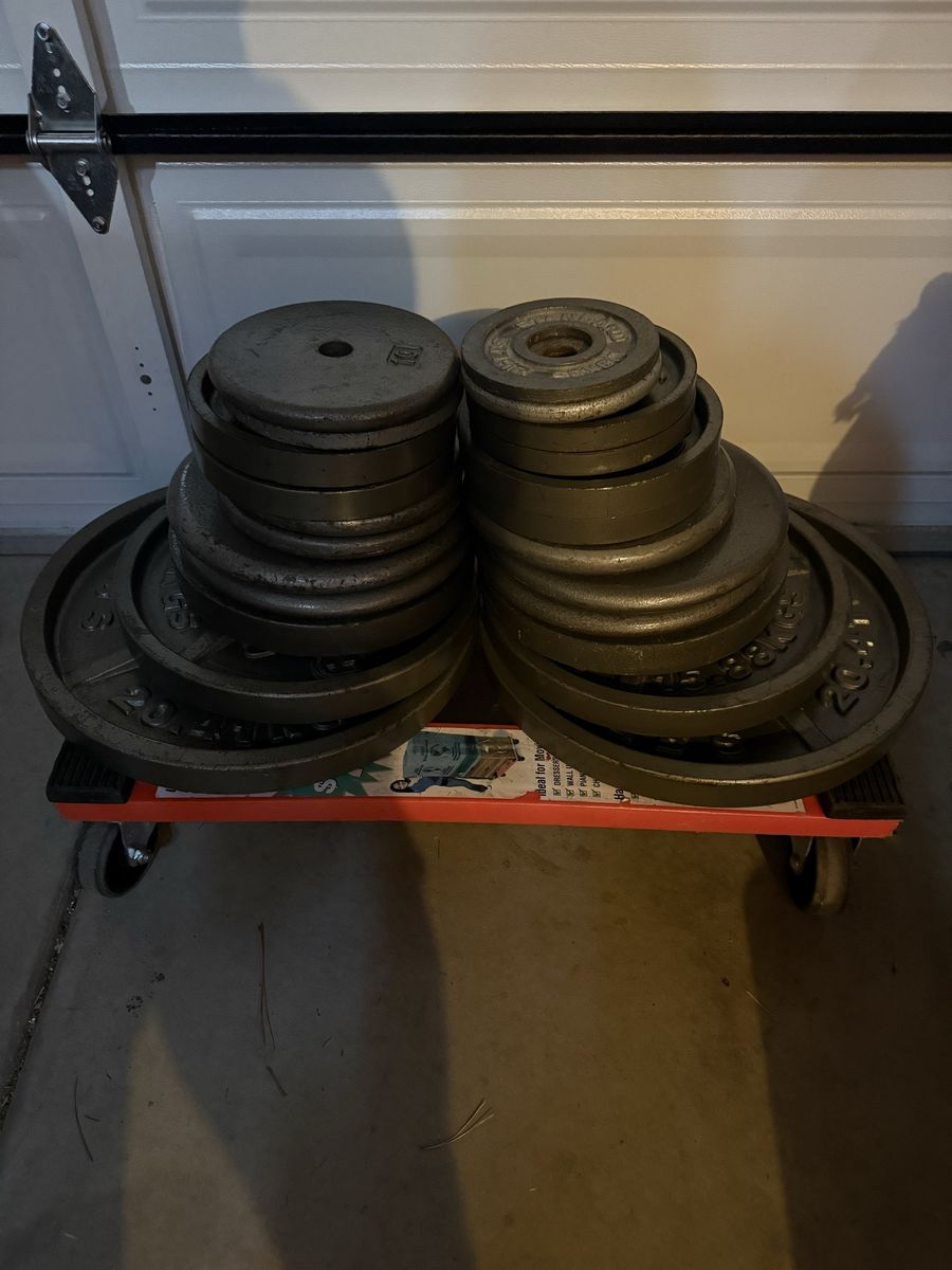 FREE WEIGHTS ️‍️