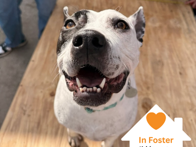 Hello my name is Bree