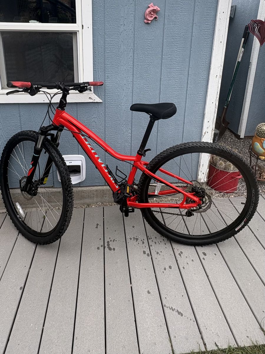 Women’s mountain bike
