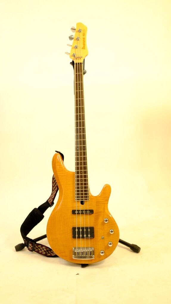 Ibanez RDGR 4-String Bass + Bag + New Strings