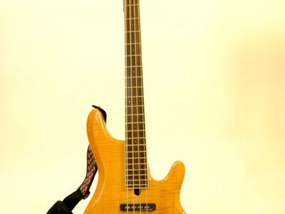Ibanez RDGR 4-String Bass + Bag + New Strings