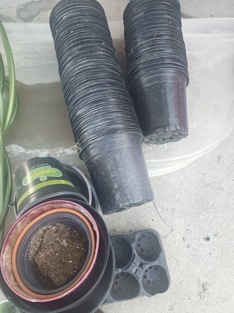 3 gallon pots 
some bigger and smaller 
downsizing to move soon
great for transplanting