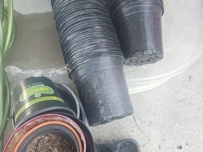 3 gallon pots
some bigger and smaller
downsizing to move soon
great for transplanting