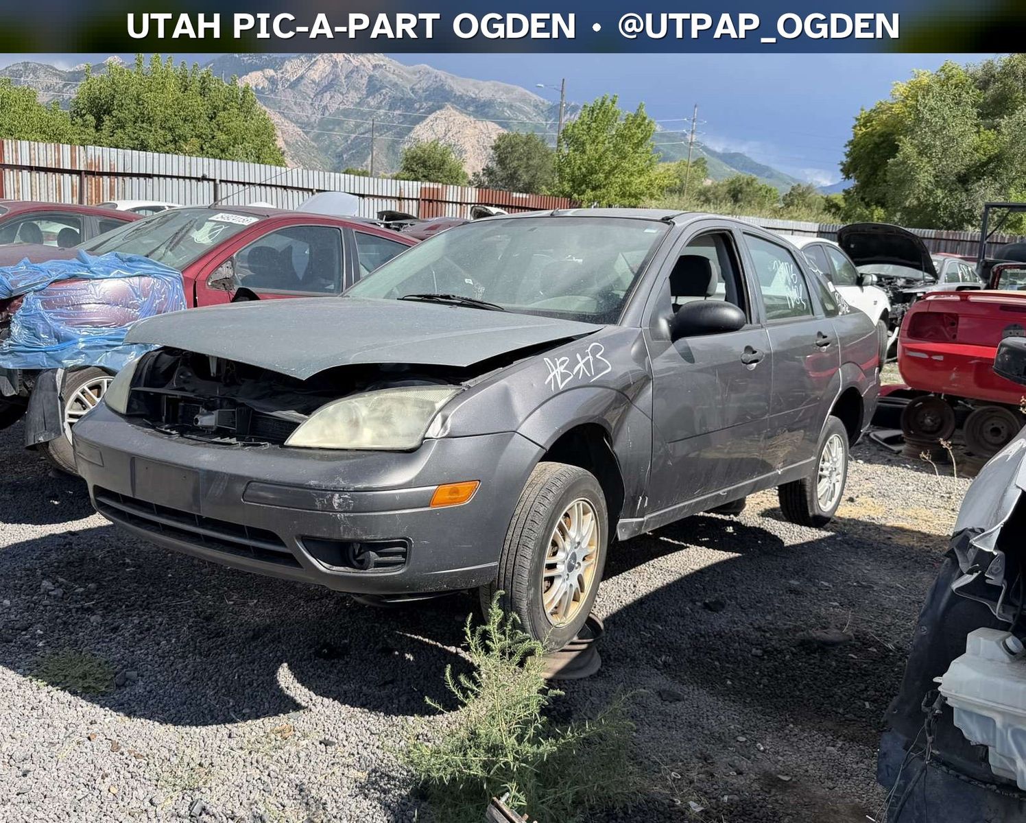 Just In! 2005 Ford Focus Parts - UTPAP Ogden