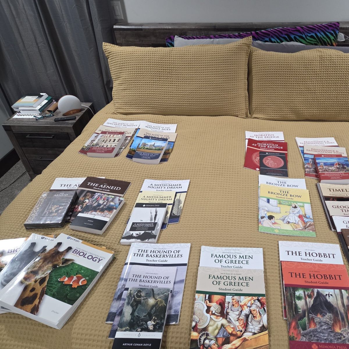 Homeschool curriculum