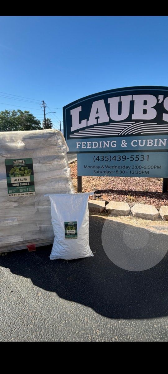 Premium Alfalfa Hay cubes