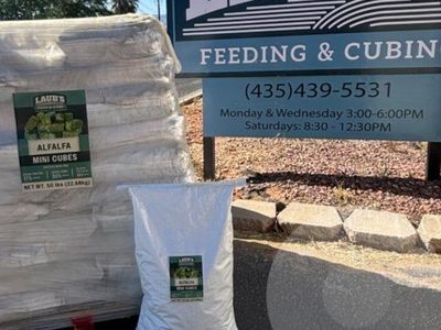 Premium Alfalfa Hay cubes