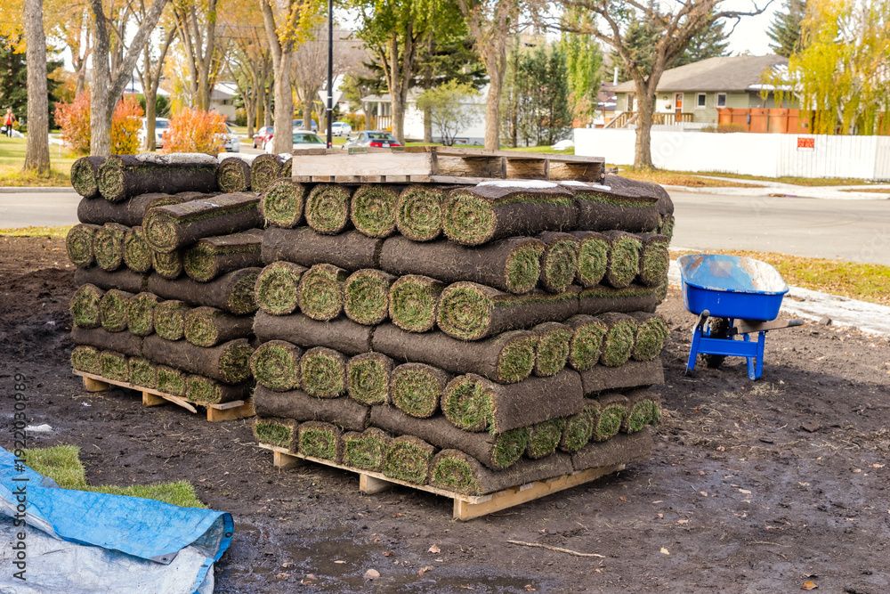 Sod for sale
