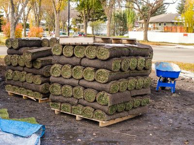 Sod for sale