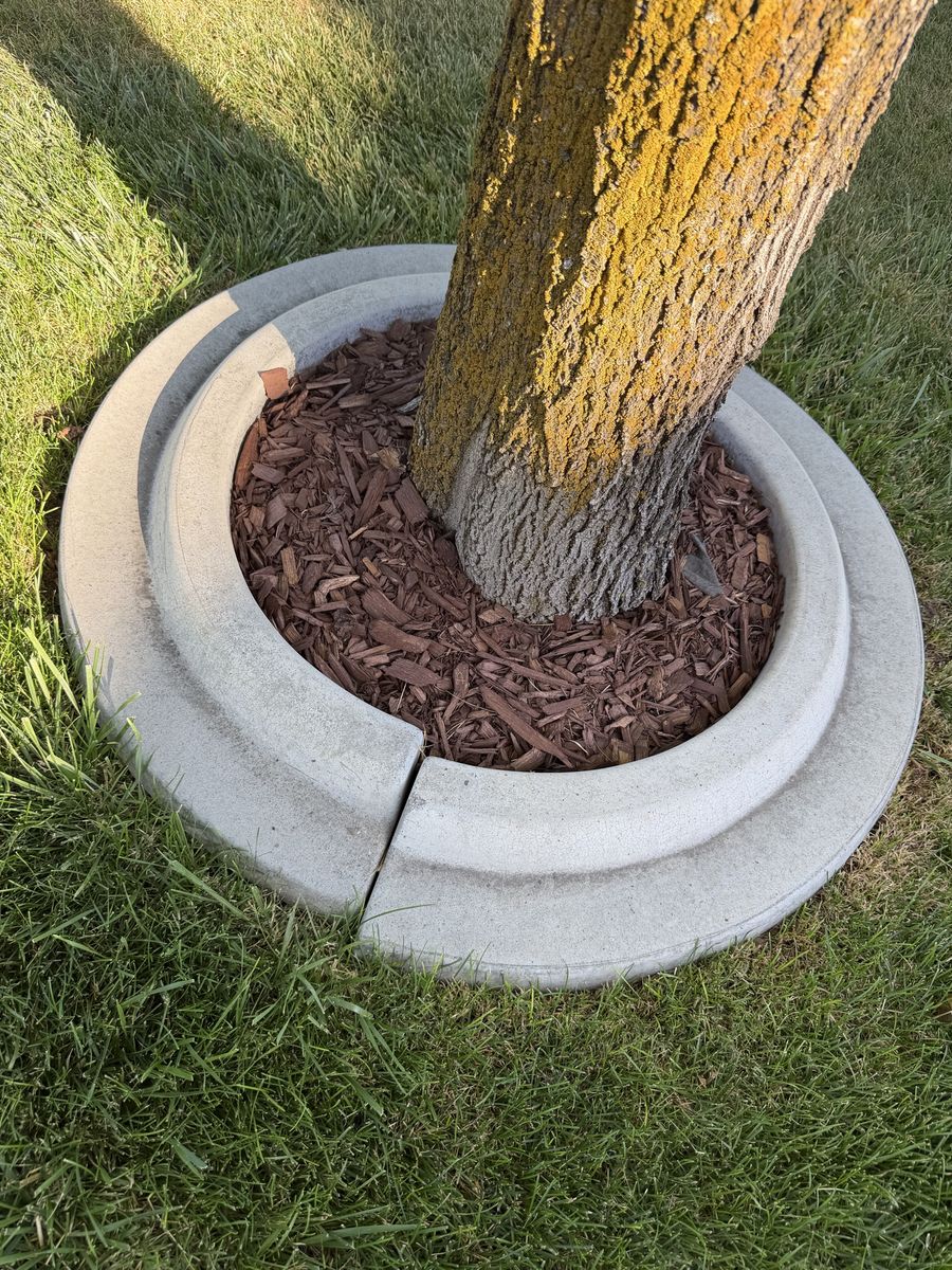 2 sets of cement tree rings 18 & 24 inch inside diameter.
