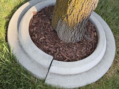 2 sets of cement tree rings 18 & 24 inch inside diameter.