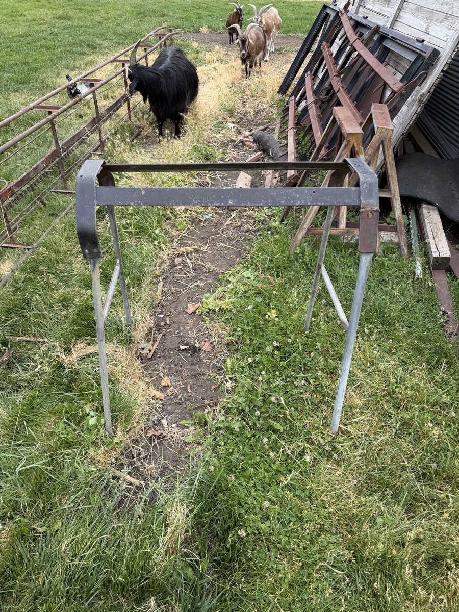Saddle stand