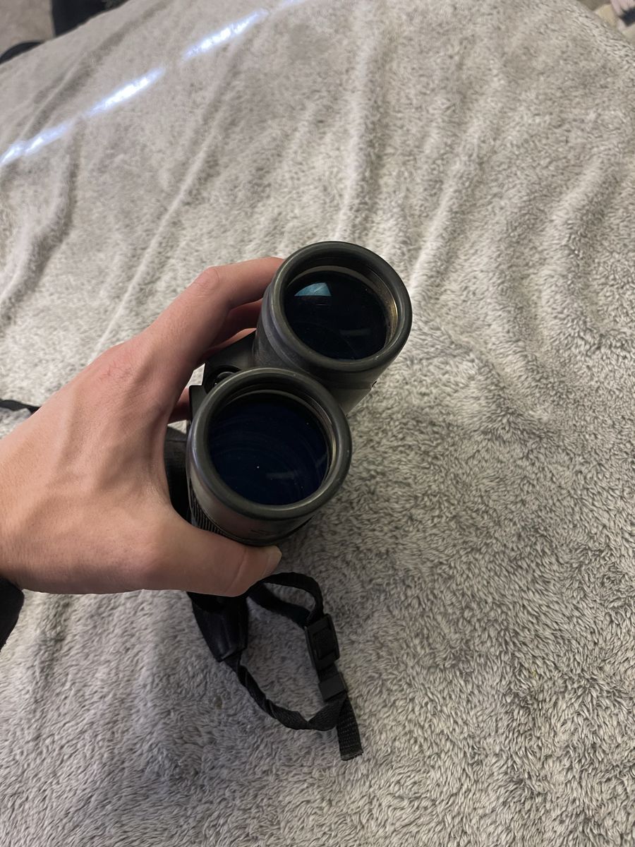 Vortex diamond back binoculars 10-42